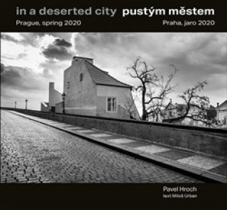 Książka Pustým městem / In a Deserted City Pavel Hroch