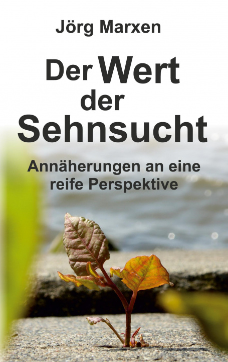 Knjiga Der Wert der Sehnsucht Jörg Marxen