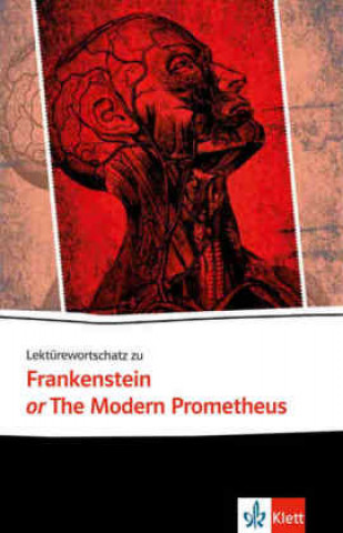 Knjiga Lektürewortschatz zu Frankenstein or The Modern Prometheus Franziska Heymann