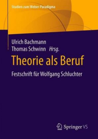 Könyv Theorie ALS Beruf Thomas Schwinn
