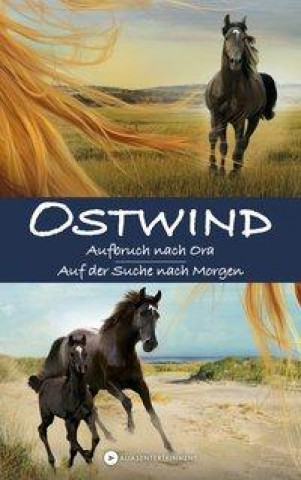 Book OSTWIND Kristina Magdalena Henn