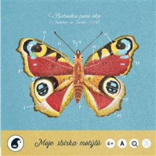 Könyv Moje sbírka motýlů Jitka Musilová