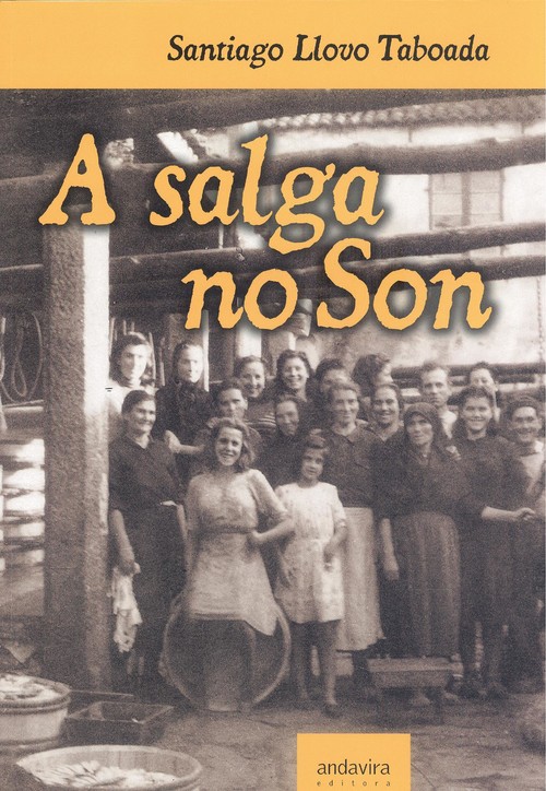 Buch A SALGA NO SON SANTIAGO LLOVO TABOADA