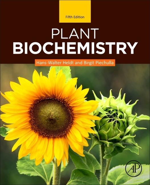 Könyv Plant Biochemistry Hans-Walter Heldt