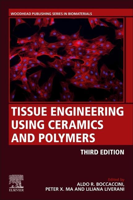 Buch Tissue Engineering Using Ceramics and Polymers P. X. Ma