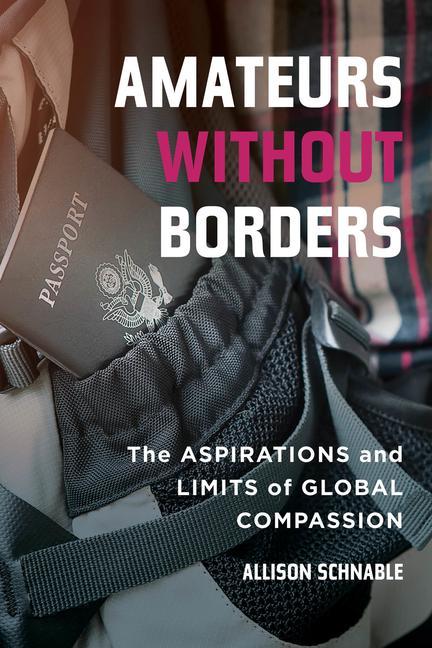 Kniha Amateurs without Borders Allison Schnable