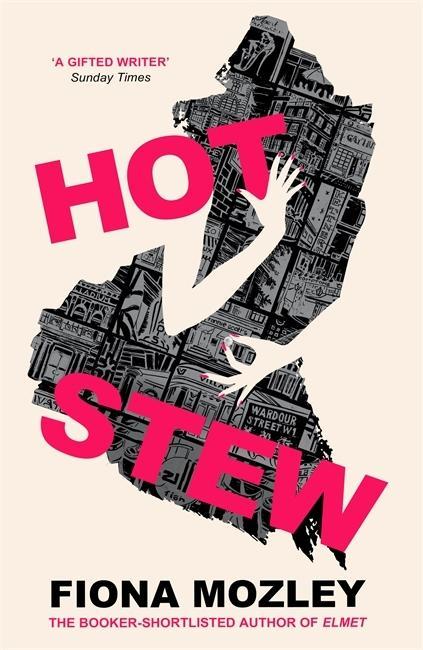 Knjiga Hot Stew Fiona Mozley