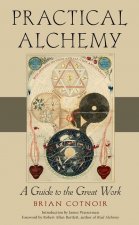 Carte Practical Alchemy James Wasserman