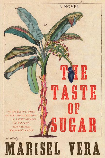Kniha Taste of Sugar - A Novel 