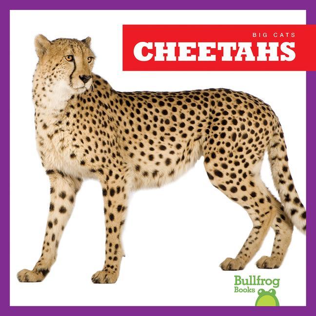 Knjiga Cheetahs 