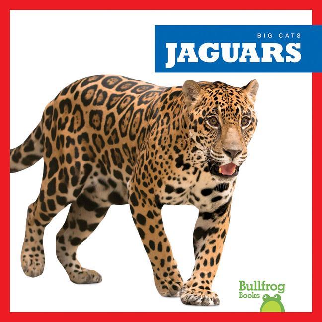 Knjiga Jaguars Marie Brandle
