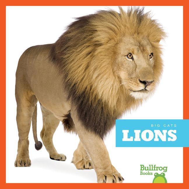 Boek Lions Marie Brandle