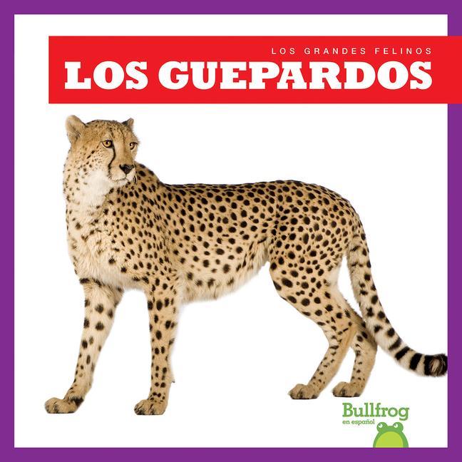 Knjiga Los Guepardos (Cheetahs) Marie Brandle