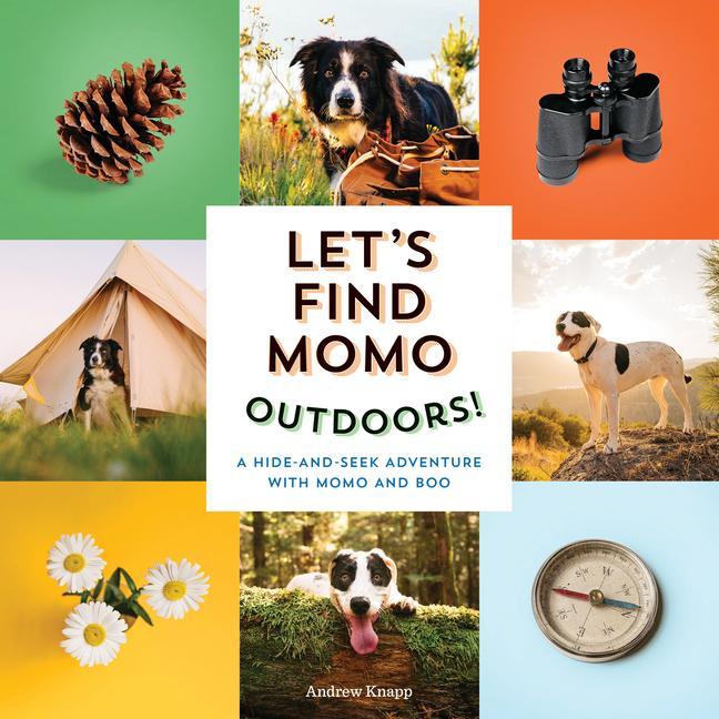 Книга Let's Find Momo Outdoors! 