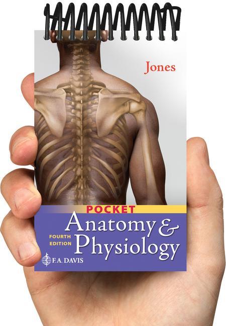 Kniha Pocket Anatomy & Physiology 