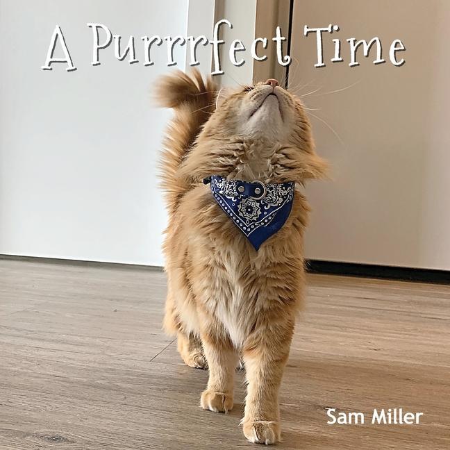 Book Purrrfect Time Sam Miller