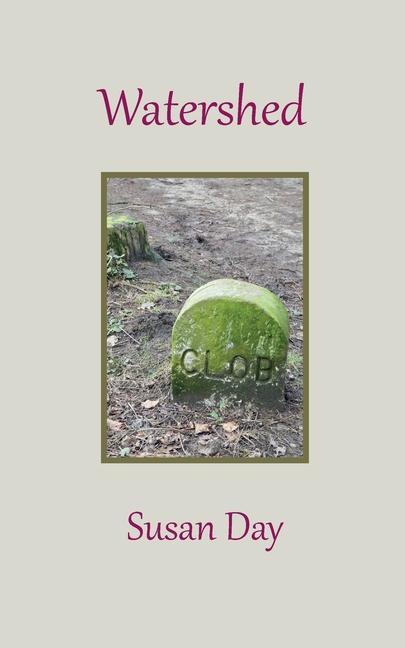 Книга Watershed Susan Day
