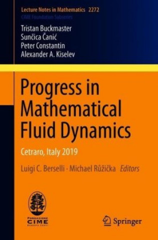 Kniha Progress in Mathematical Fluid Dynamics Suncica Canic