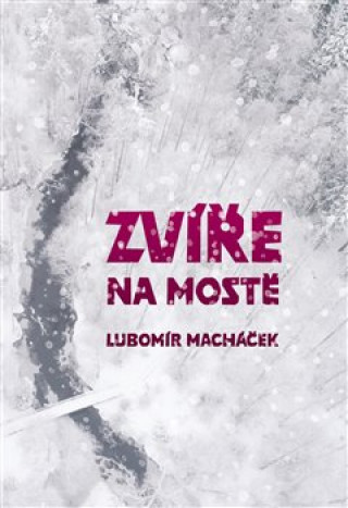 Knjiga Zvíře na mostě Lubomír Macháček