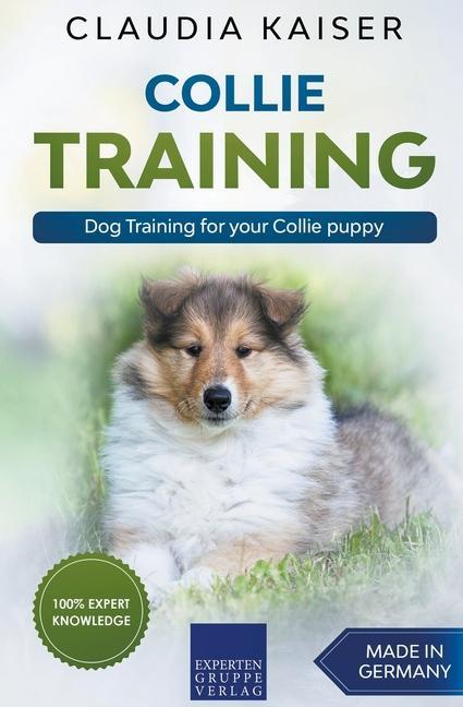 Książka Collie Training - Dog Training for your Collie puppy 