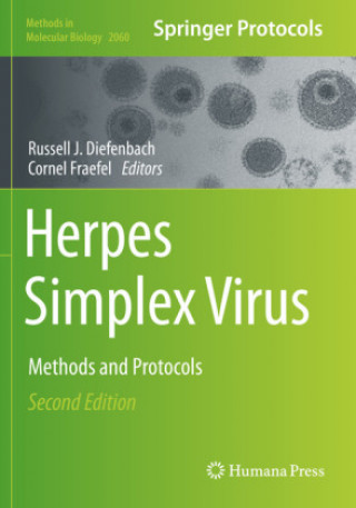 Kniha Herpes Simplex Virus: Methods and Protocols Cornel Fraefel
