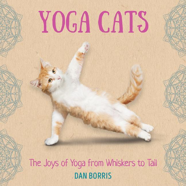 Carte Yoga Cats 