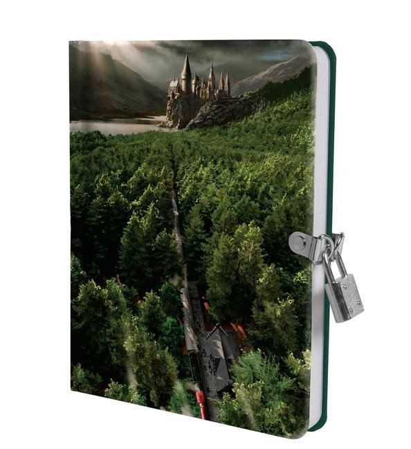 Kniha Harry Potter: Hogwarts Express Lock and Key Diary 