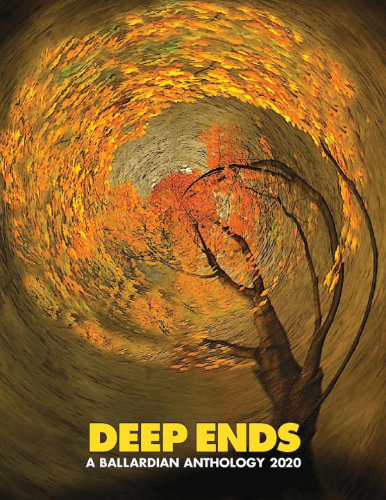 Book Deep Ends Rick McGrath
