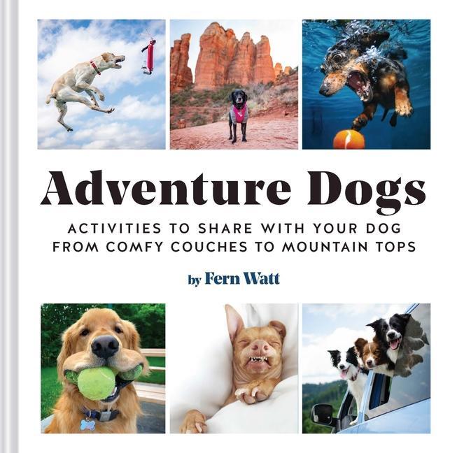 Könyv Adventure Dogs 