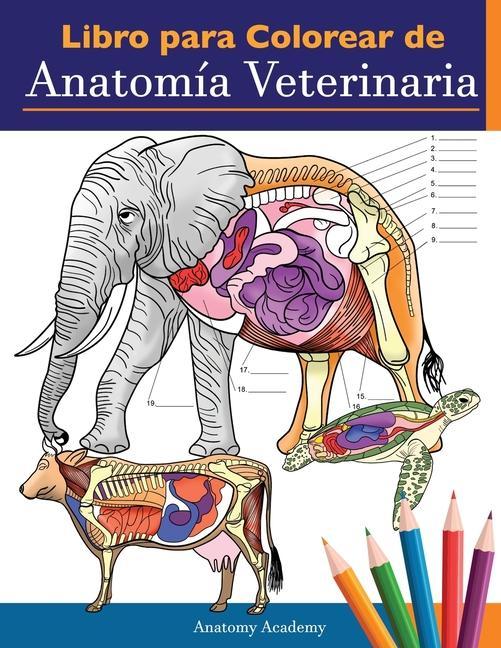 Könyv Libro para colorear de anatomia veterinaria 