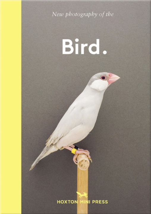 Kniha Bird. Hoxton Mini Press