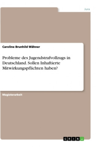 Carte Probleme des Jugendstrafvollzugs in Deutschland. Sollen Inhaftierte Mitwirkungspflichten haben? 