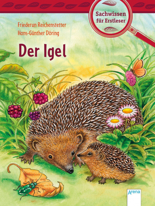 Kniha Der Igel Hans-Günther Döring