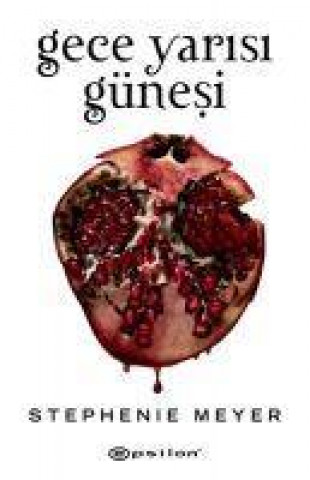 Libro Gece Yarisi Günesi 