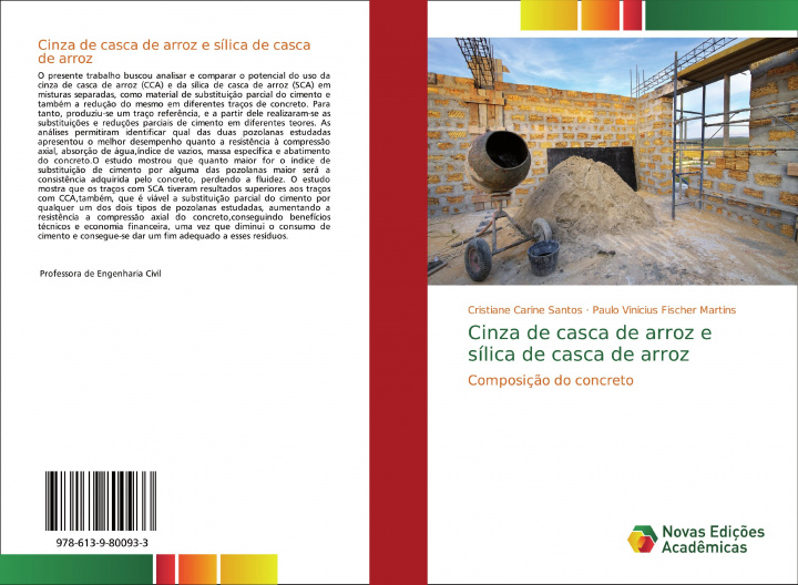 Buch Cinza de casca de arroz e silica de casca de arroz Paulo Vinicius Fischer Martins