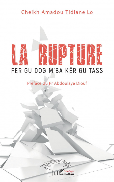 Libro La rupture Tidiane lo cheikh amadou