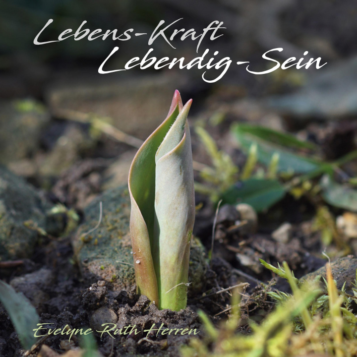 Книга Lebens-Kraft   Lebendig-Sein 