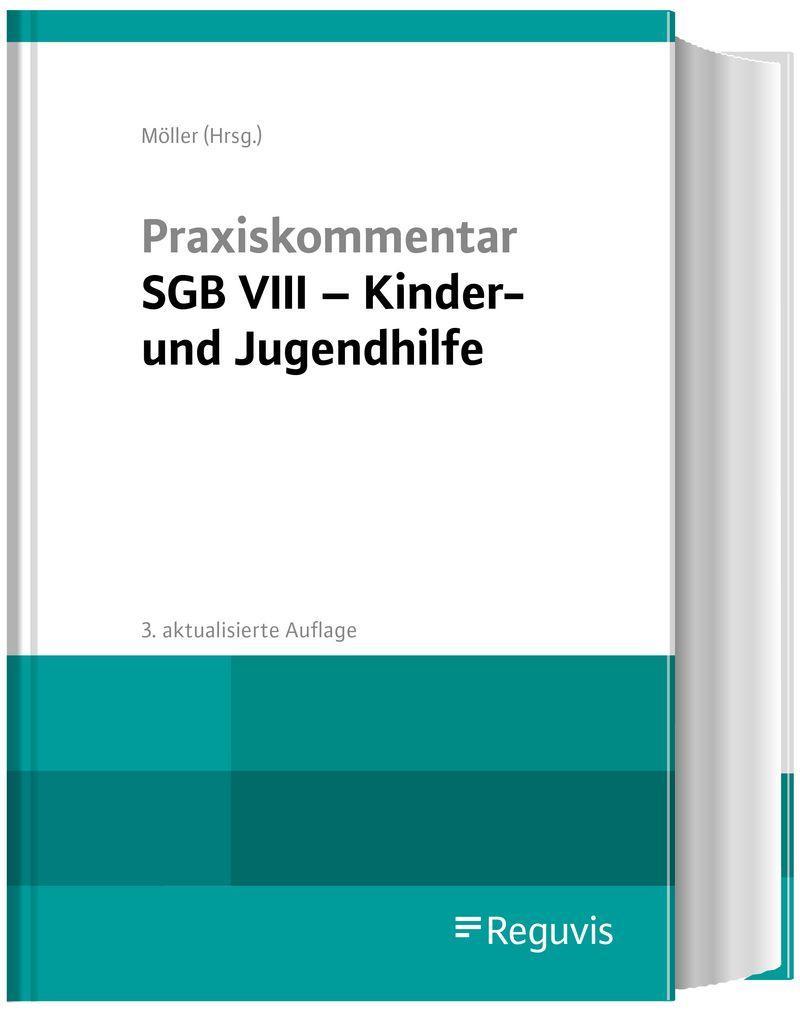 Kniha Praxiskommentar SGB VIII - Kinder- und Jugendhilfe 