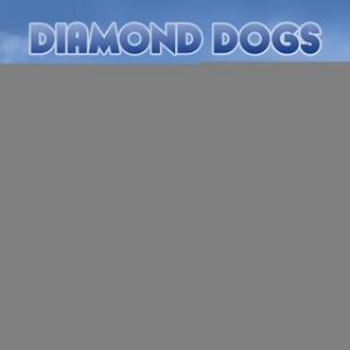 Audio Atlantic Juice Diamond Dogs