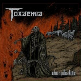 Zvok Where Paths Divide Toxaemia