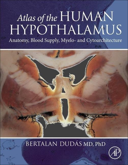 Könyv Atlas of the Human Hypothalamus Bertalan Dudas