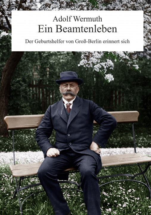Buch Beamtenleben Michael Kowarsch