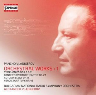 Audio Orchesterwerke Vol.1 