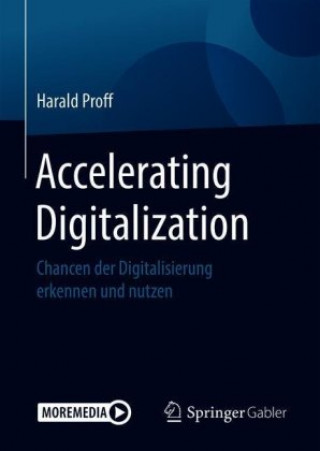 Könyv Accelerating Digitalization Claudia Ahrens