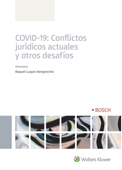 Audio COVID-19: Conflictos jurídicos actuales y otros desafíos RAQUEL LUQUIN BERGARECHE