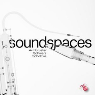 Audio Soundspaces 