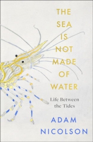 Kniha Sea is Not Made of Water Adam Nicolson