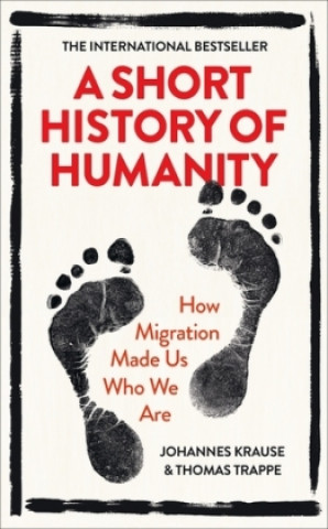 Könyv Short History of Humanity 