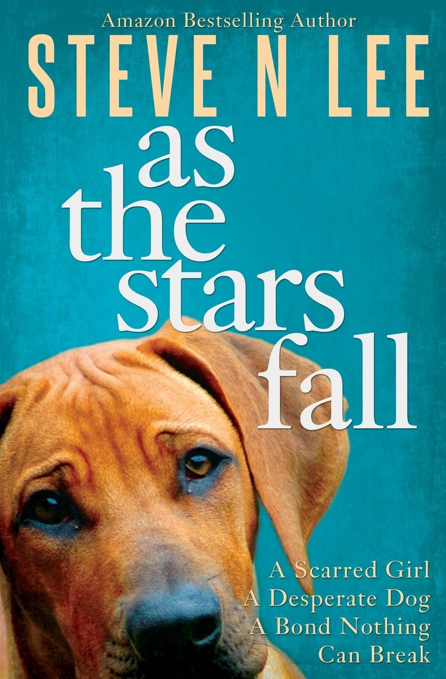 Book As The Stars Fall 