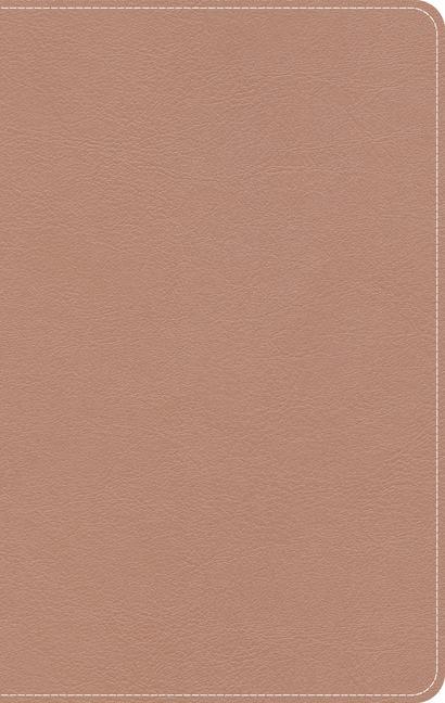 Kniha CSB On-The-Go Bible, Personal Size, Rose Gold Leathertouch 